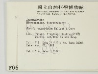登錄號:F0000611藏品圖，第2張