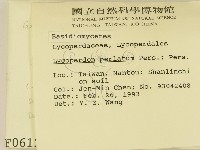 登錄號:F0000612藏品圖，第2張