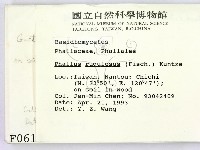 登錄號:F0000613藏品圖，第2張