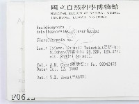 登錄號:F0000615藏品圖，第2張