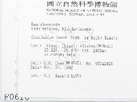 登錄號:F0000616藏品圖，第2張