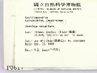 登錄號:F0000617藏品圖，第2張