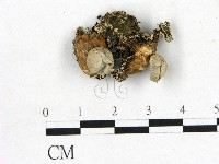 登錄號:F0000617藏品圖，第1張