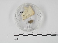 登錄號:F0000618藏品圖，第1張