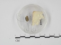 登錄號:F0000618藏品圖，第3張