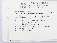 登錄號:F0000619藏品圖，第2張