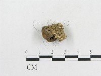 登錄號:F0000619藏品圖，第3張
