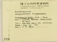 登錄號:F0000620藏品圖，第2張