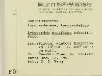 登錄號:F0000621藏品圖，第2張