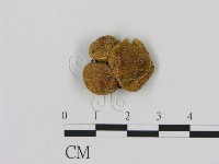 登錄號:F0000621藏品圖，第1張