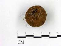 登錄號:F0000622藏品圖，第3張