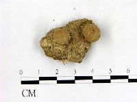 登錄號:F0000623藏品圖，第1張