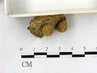 登錄號:F0000623藏品圖，第3張