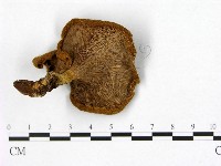 登錄號:F0000625藏品圖，第3張