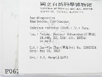 登錄號:F0000626藏品圖，第2張