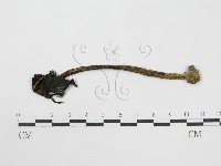 登錄號:F0000626藏品圖，第3張