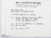 登錄號:F0000627藏品圖，第2張