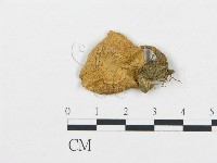 登錄號:F0000627藏品圖，第1張