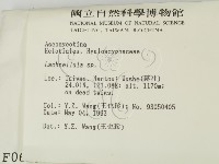 登錄號:F0000629藏品圖，第2張