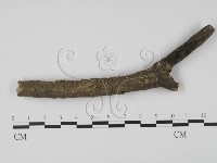 登錄號:F0000629藏品圖，第1張