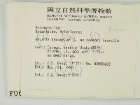 登錄號:F0000630藏品圖，第2張