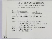 登錄號:F0000631藏品圖，第2張