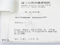 登錄號:F0000631藏品圖，第3張