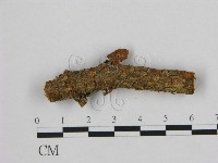 登錄號:F0000631藏品圖，第1張