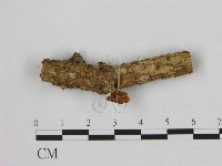 登錄號:F0000631藏品圖，第4張