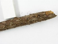 登錄號:F0000631藏品圖，第7張