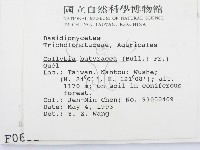 登錄號:F0000632藏品圖，第2張