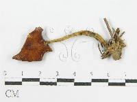 登錄號:F0000632藏品圖，第3張