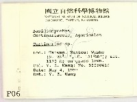 登錄號:F0000633藏品圖，第2張