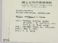 登錄號:F0000634藏品圖，第2張