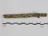 登錄號:F0000634藏品圖，第1張