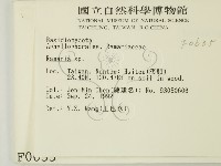 登錄號:F0000635藏品圖，第2張