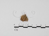 登錄號:F0000635藏品圖，第1張