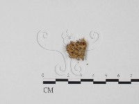 登錄號:F0000635藏品圖，第3張