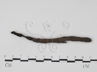 登錄號:F0000636藏品圖，第3張