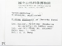 登錄號:F0000638藏品圖，第2張
