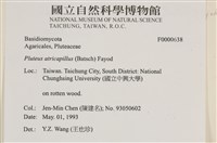 登錄號:F0000638藏品圖，第4張