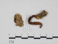 登錄號:F0000639藏品圖，第3張