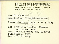登錄號:F0000640藏品圖，第2張