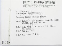 登錄號:F0000643藏品圖，第2張