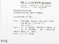 登錄號:F0000644藏品圖，第2張
