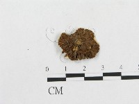 登錄號:F0000644藏品圖，第1張
