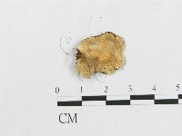 登錄號:F0000644藏品圖，第3張