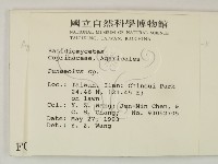 登錄號:F0000645藏品圖，第2張
