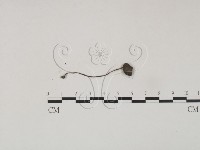 登錄號:F0000645藏品圖，第3張