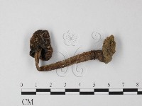 登錄號:F0000649藏品圖，第1張